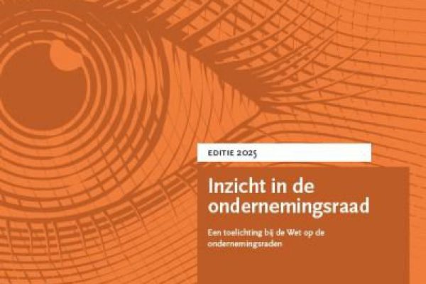 Inzicht in de Ondernemingsraad cover